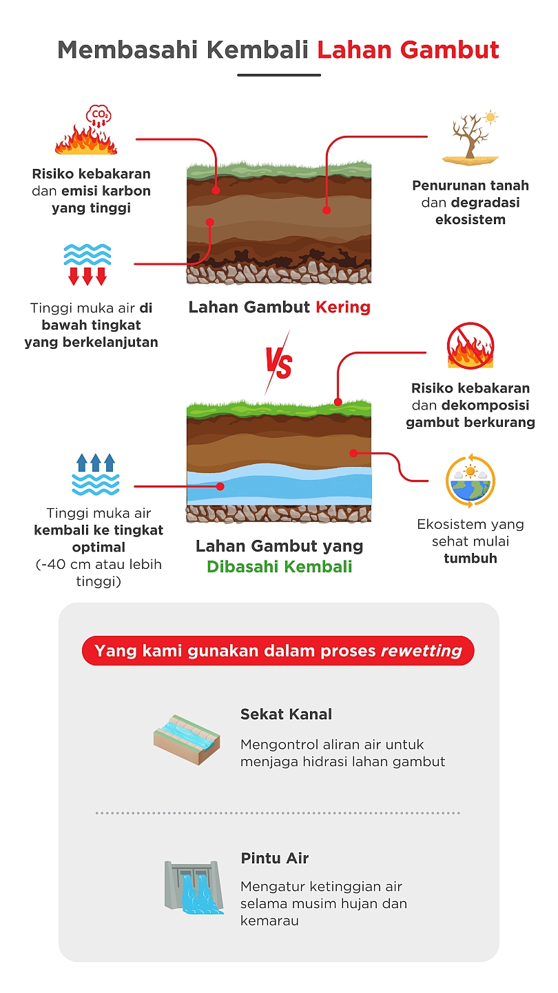 Membasahi kembali lahan gambut