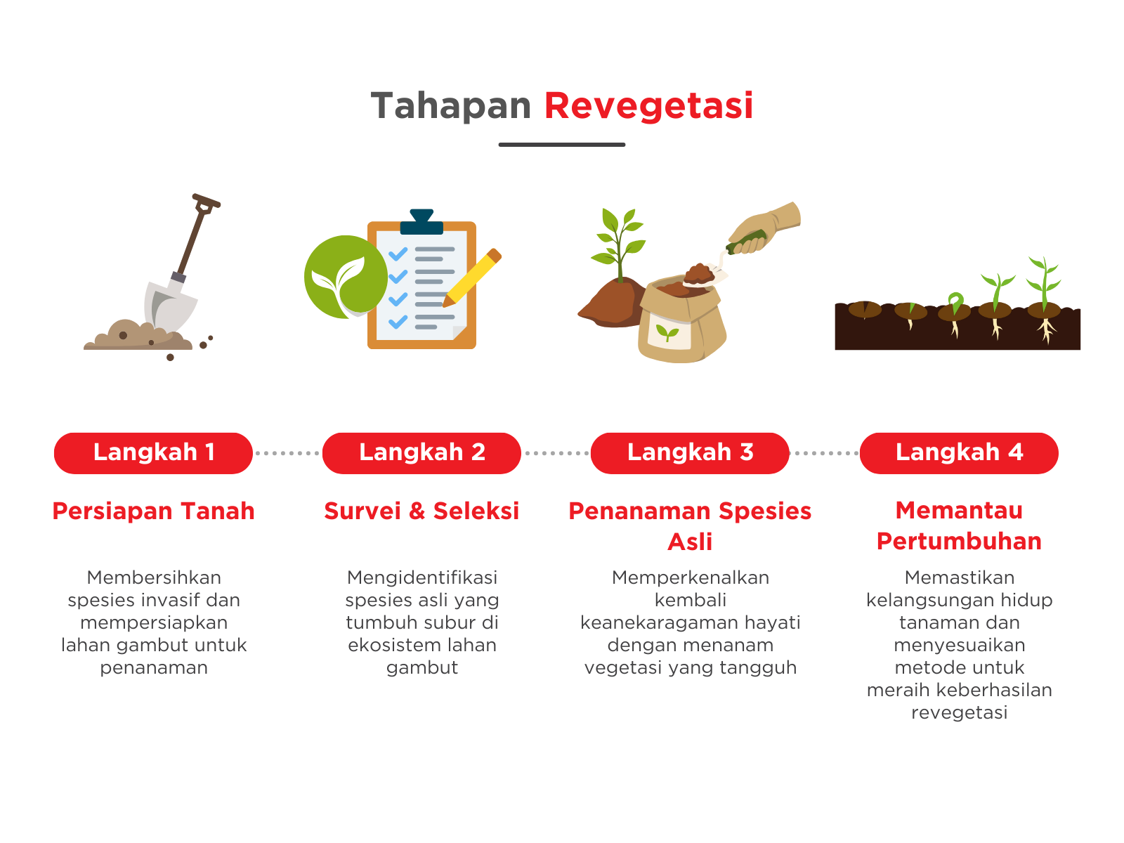 Tahapan Revegetasi