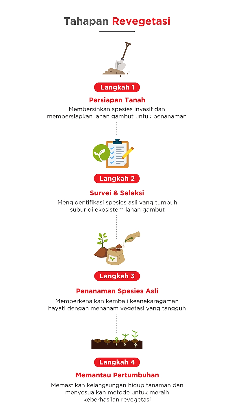 Tahapan Revegetasi
