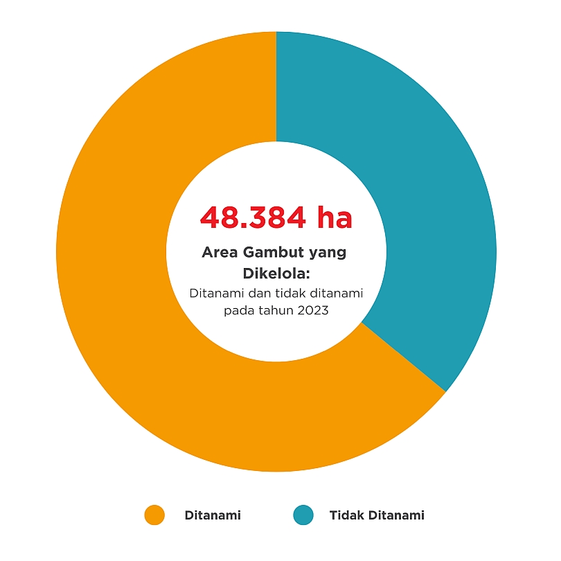 Area gambut yang dikelola
