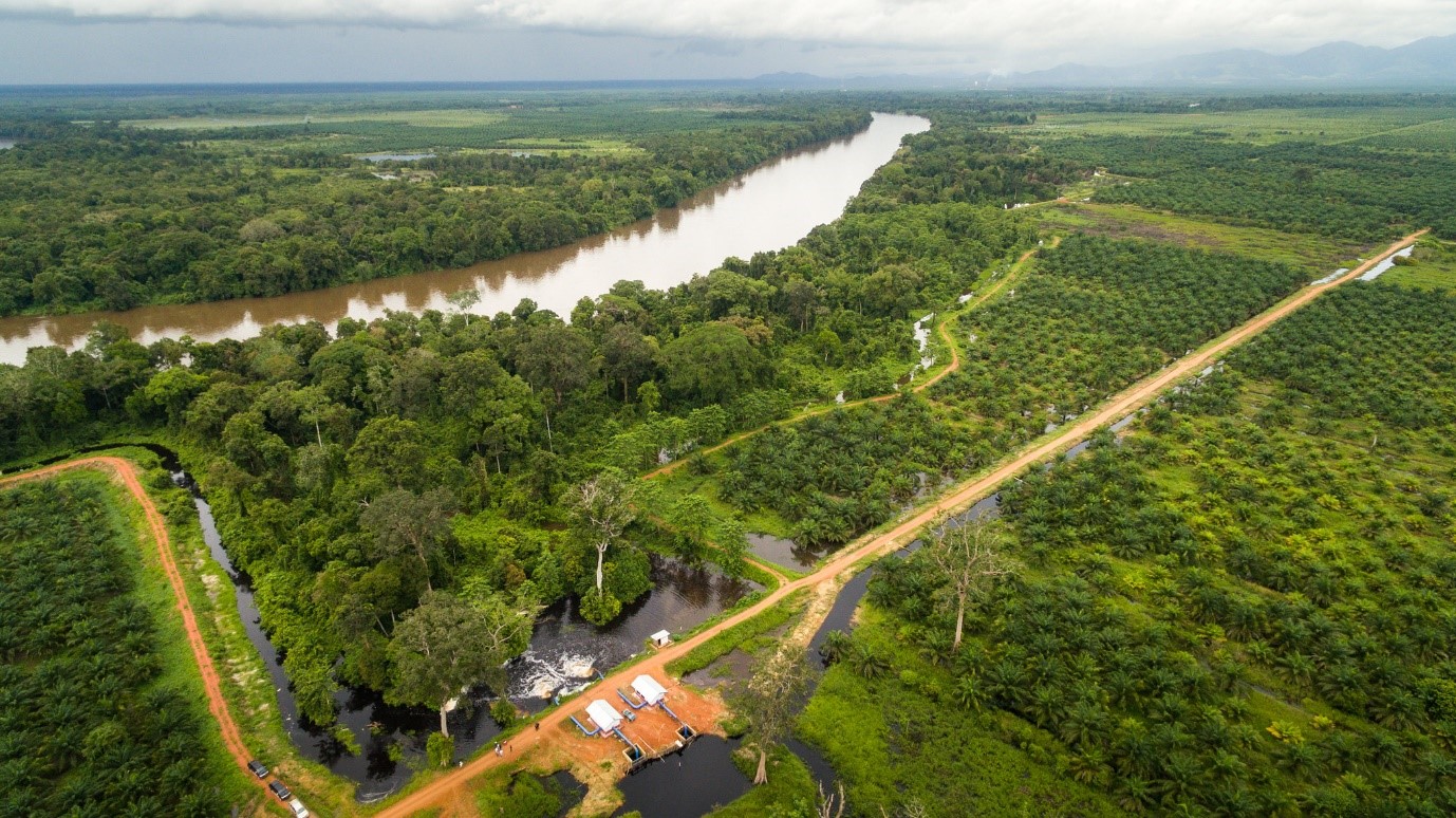 Peat restoration: Rebuilding nature, one step at a time