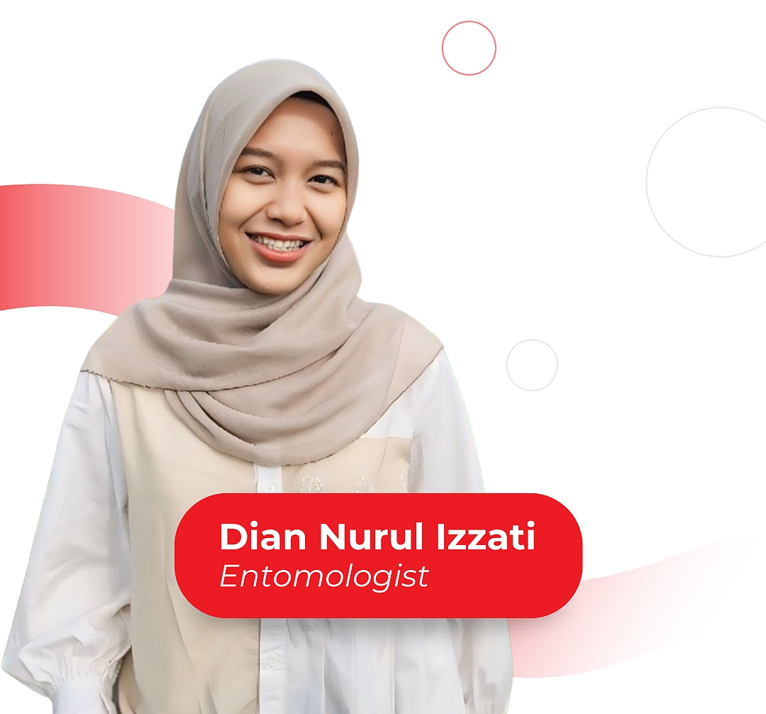 Dian