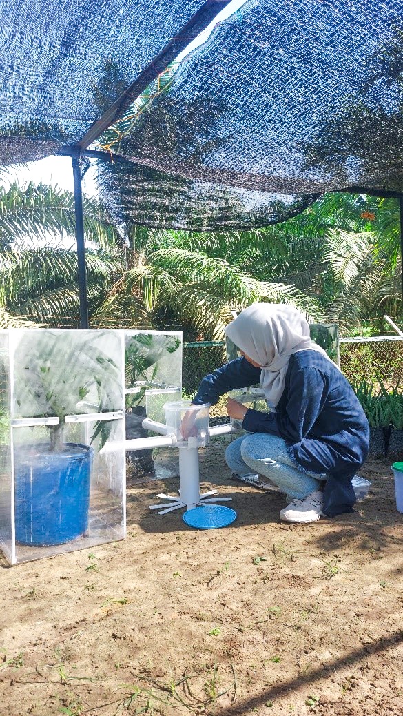 Dian membuat percobaan semiokimia