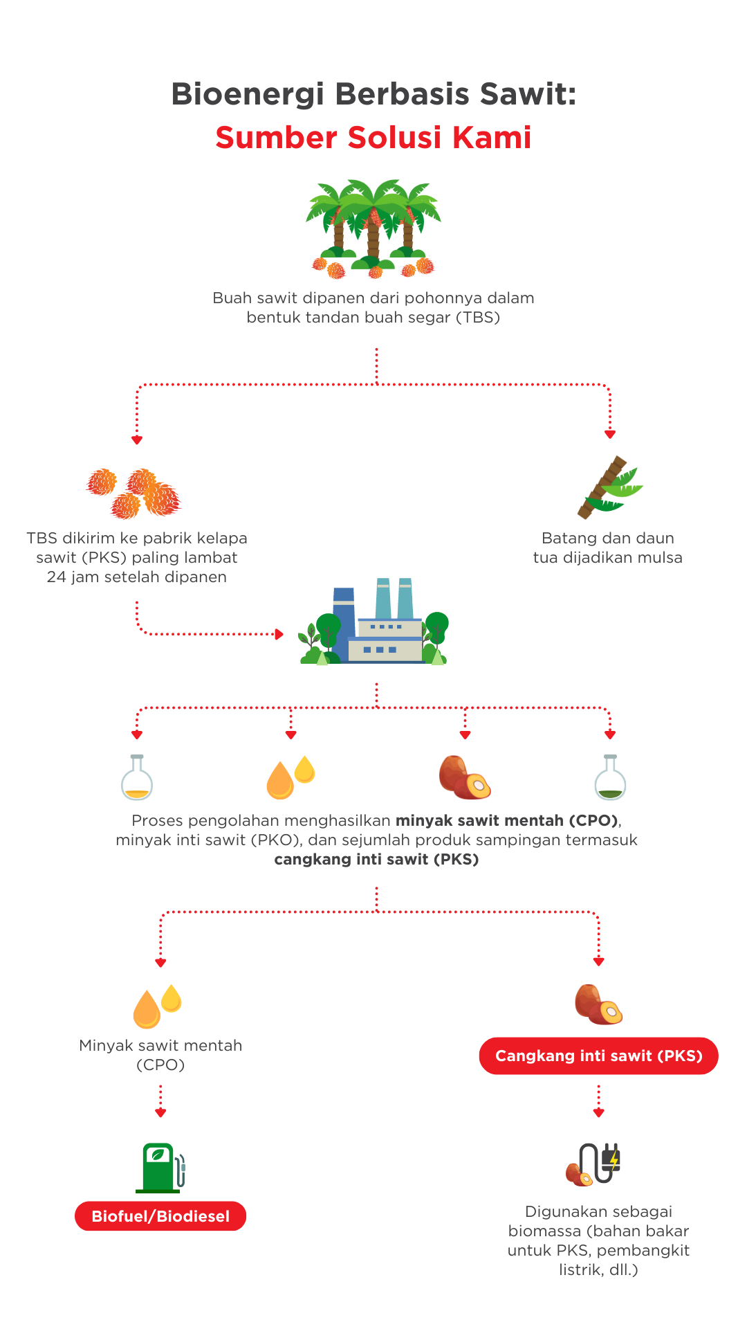 Waste-to-energy potential