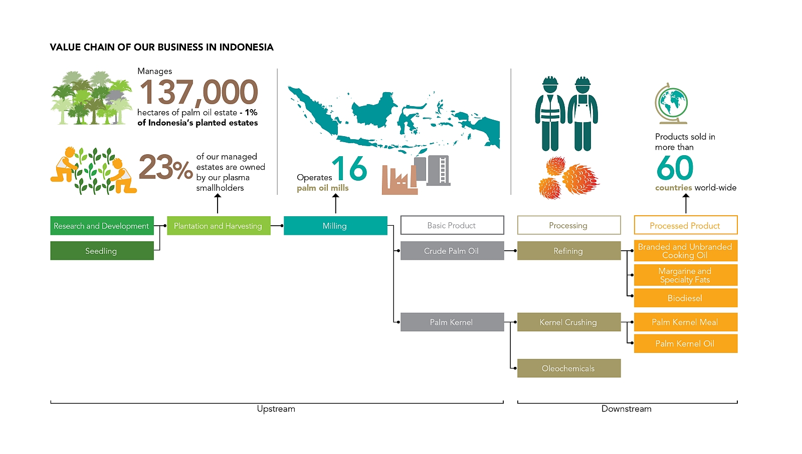 value chain
