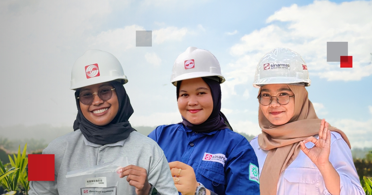 Bagaimana kelapa sawit dibudidayakan, dari benih hingga panen