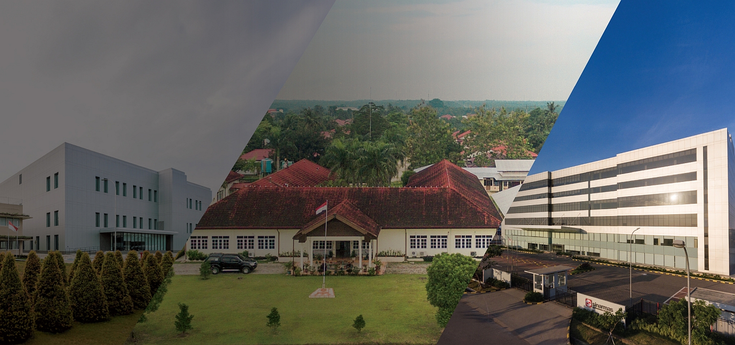 Tempat inovasi bertumbuh: Menelusuri sains di balik kelapa sawit berkelanjutan