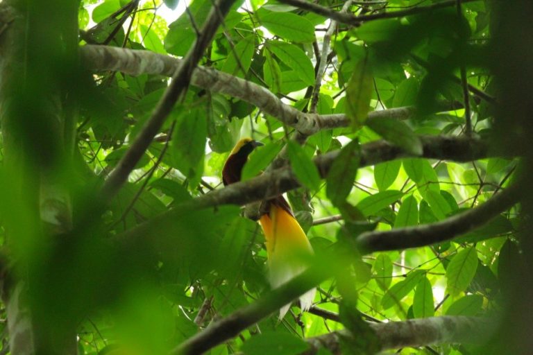 Biodiversity Conservation