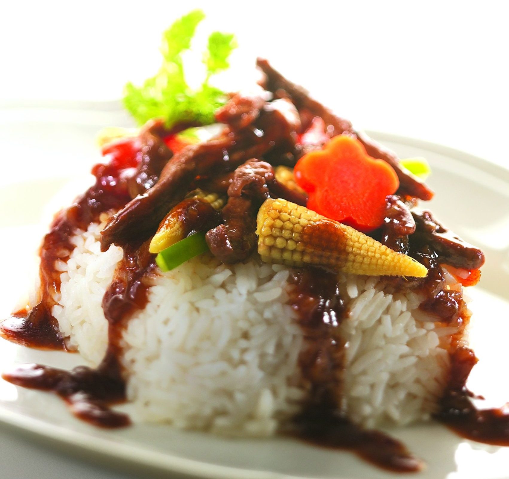 Stir-fried Beef Rice