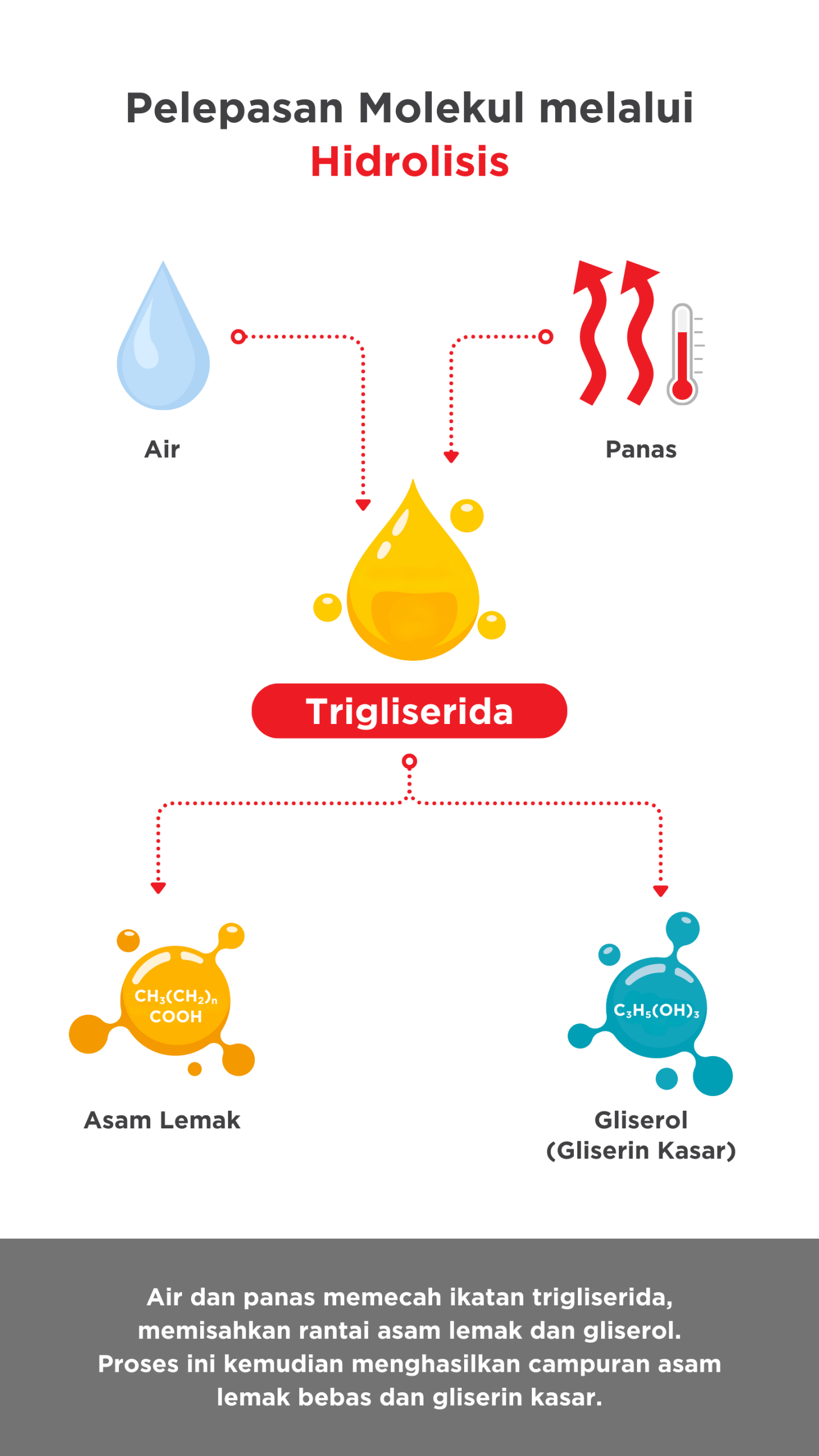 Hydrolysis