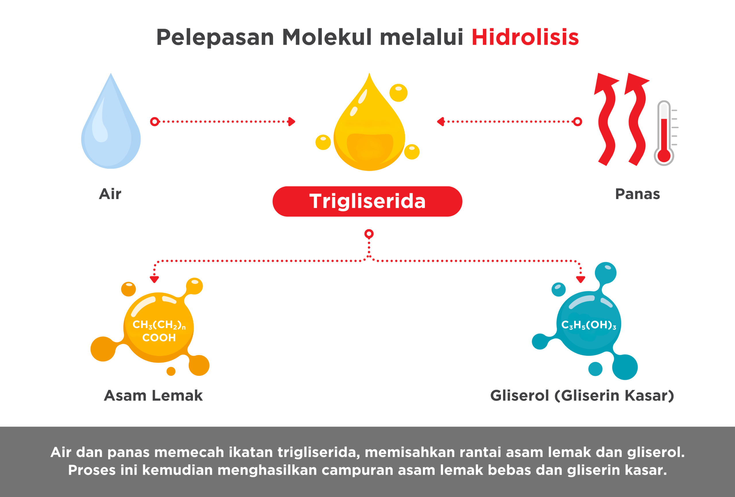Hydrolysis