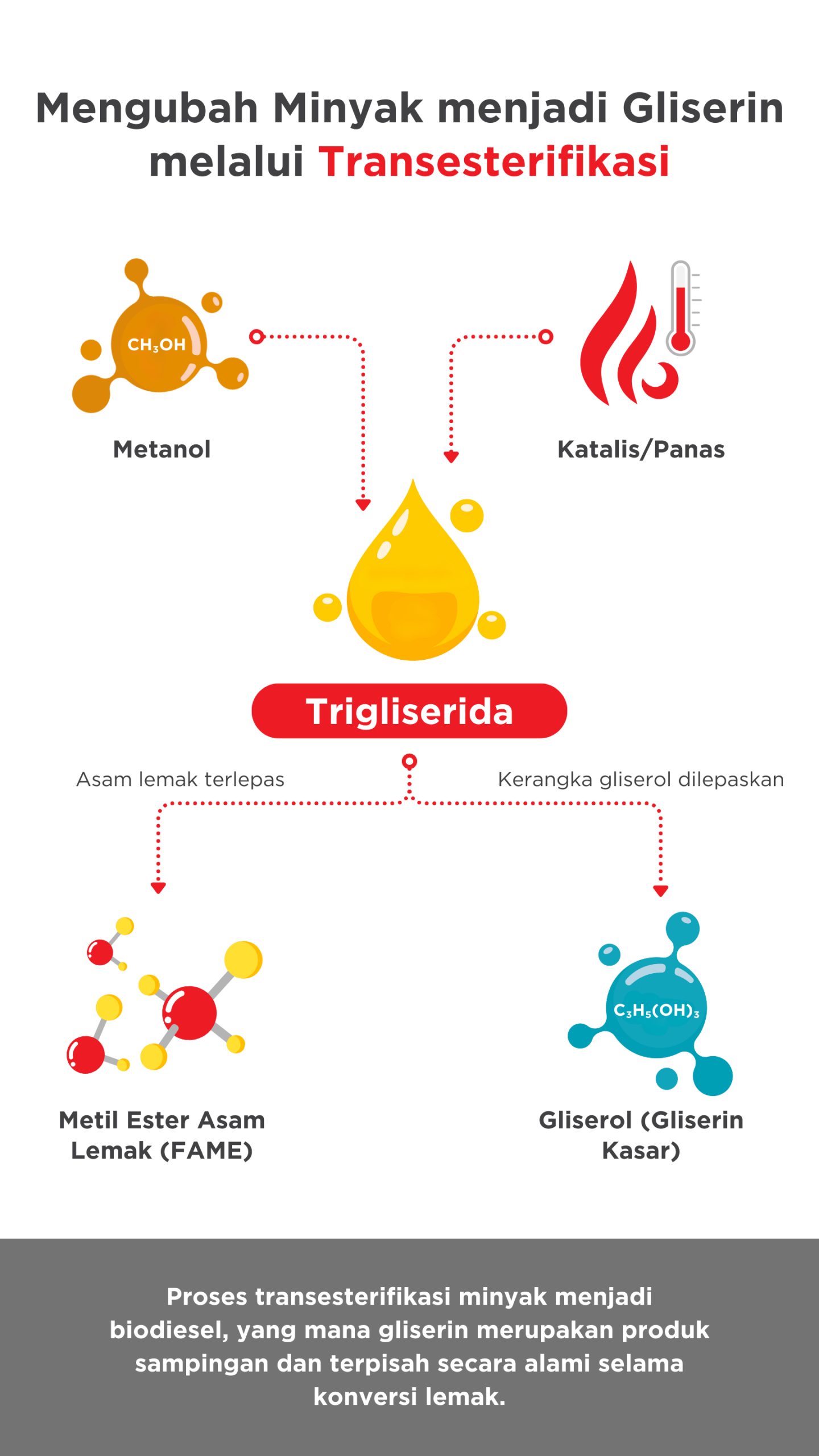 Transesterification