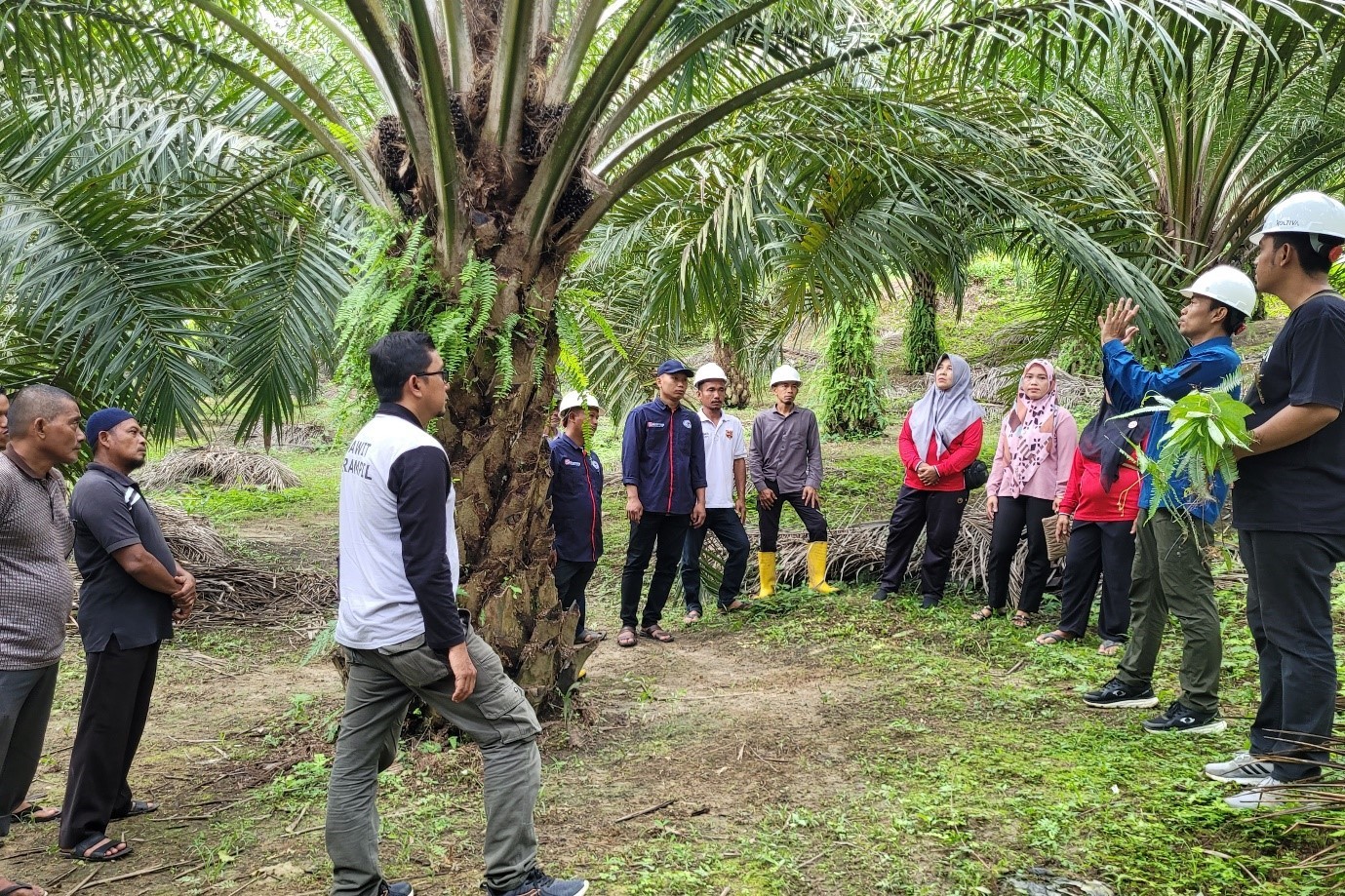 Tumbuh secara berkelanjutan langkah demi langkah