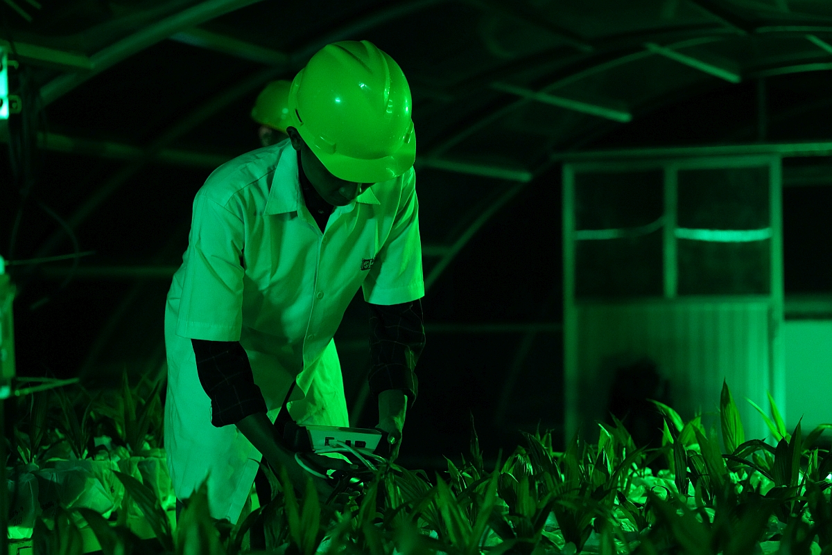 Extensive laboratory and field testing