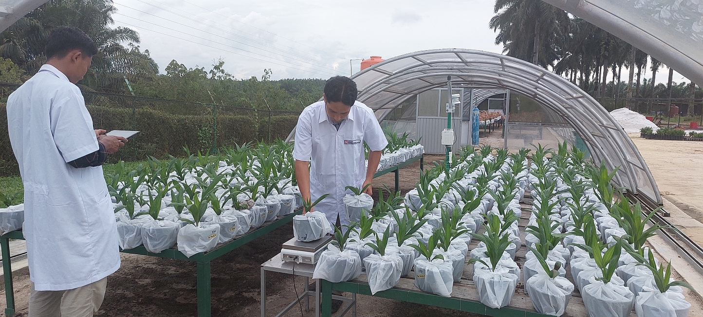Sinar Mas Agribusiness and Food screened over 40,000