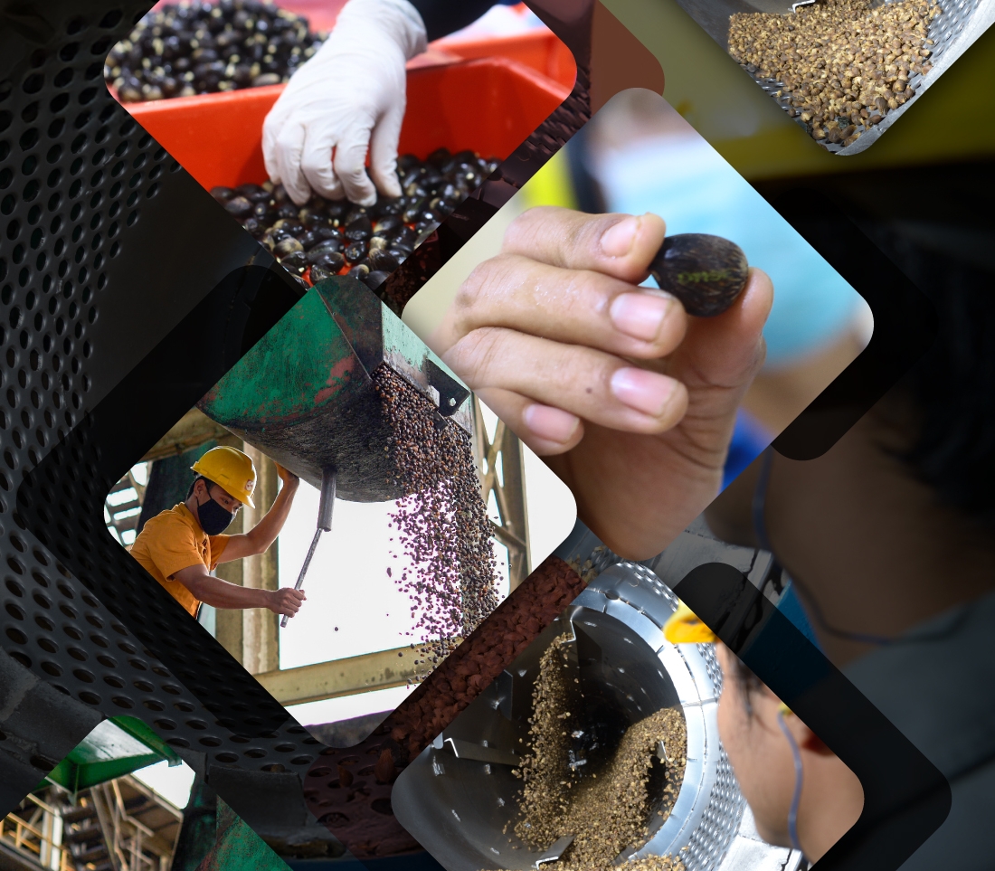 Choose your path: The journey of Palm Kernel Shells (PKS) from waste to&nbsp;bioenergy