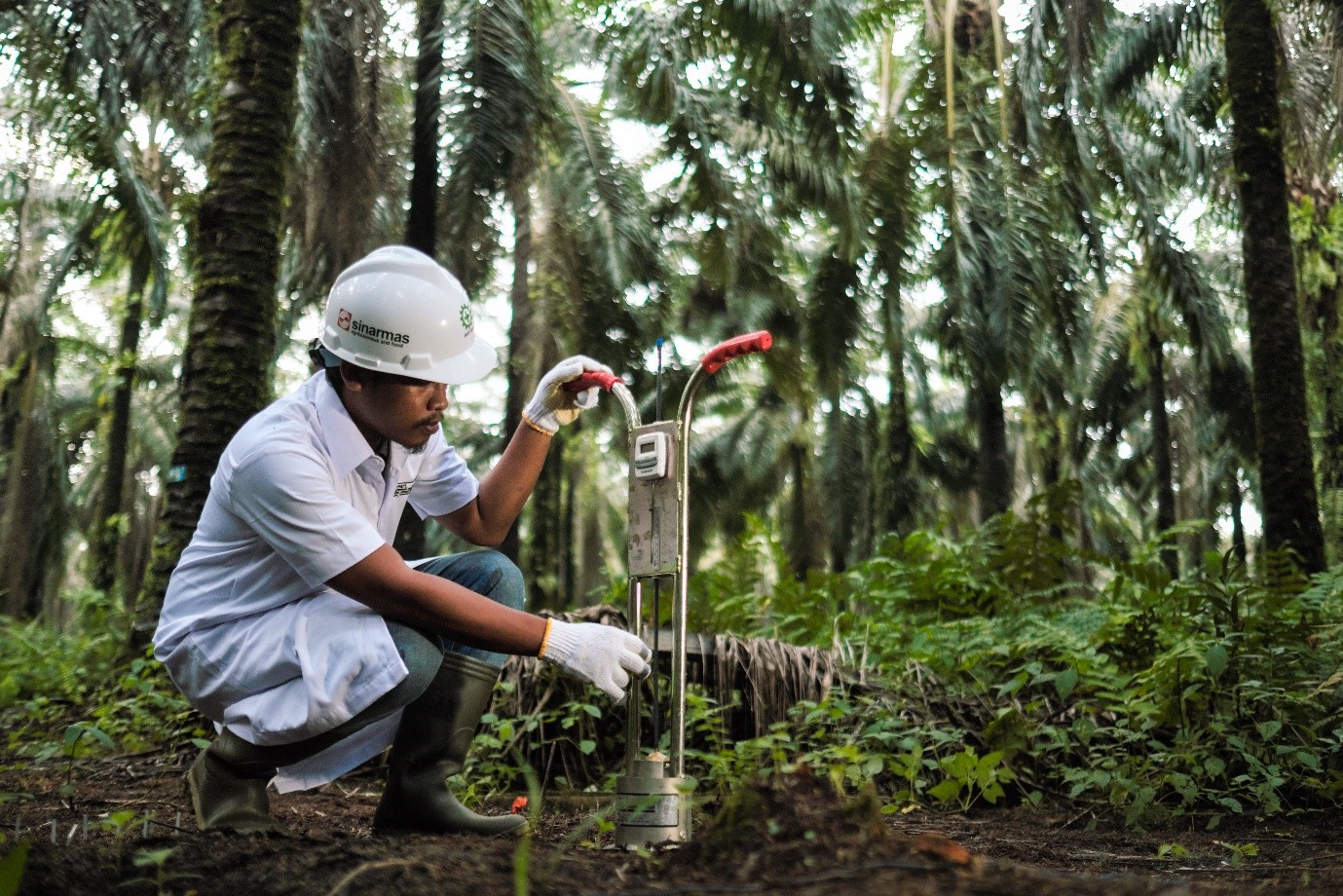 Six trends transforming agriculture, food, and energy in&nbsp;2026