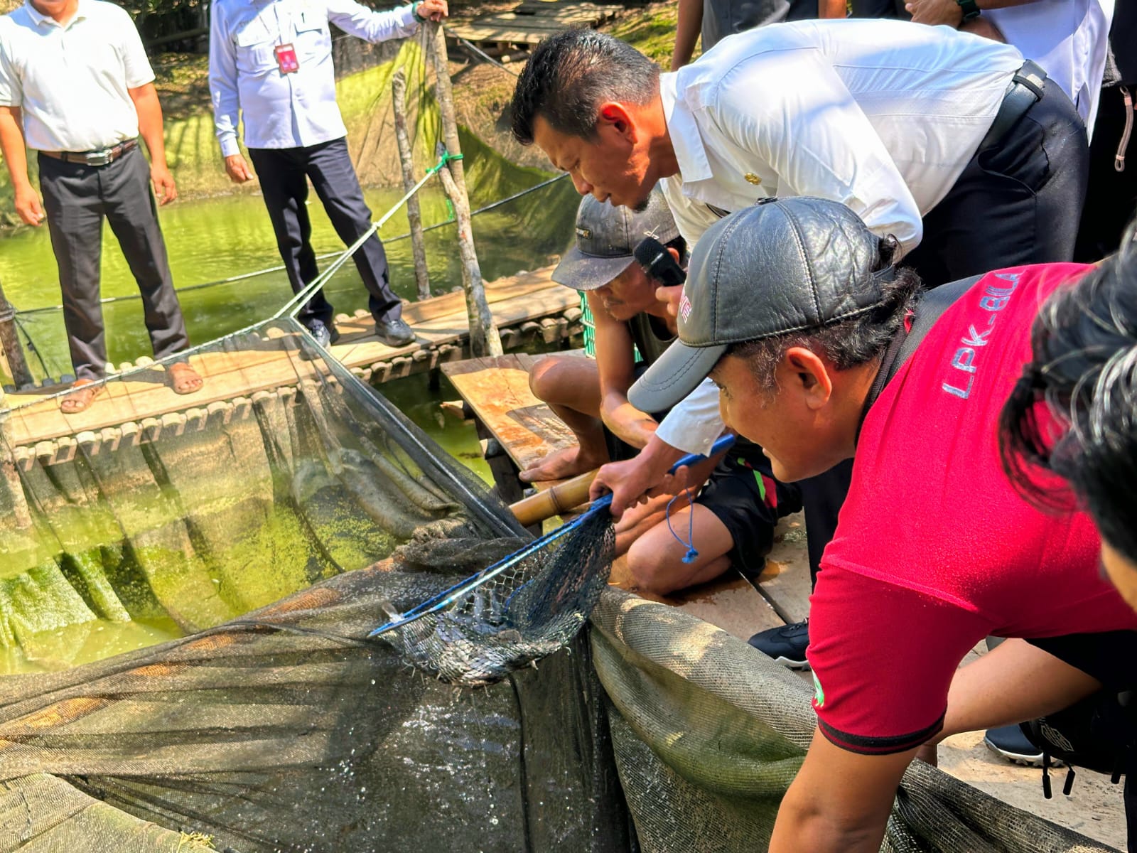 First Catfish Harvest Supports Fish Self Sufficiency Programme in Lahat Regency