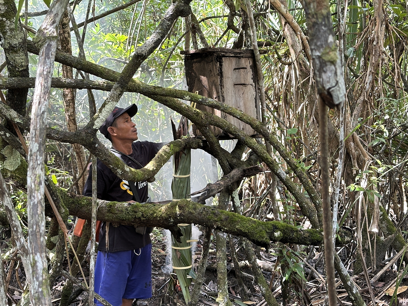 From Limang Hamlet, Bangka’s Honey Reaches for Wider Markets