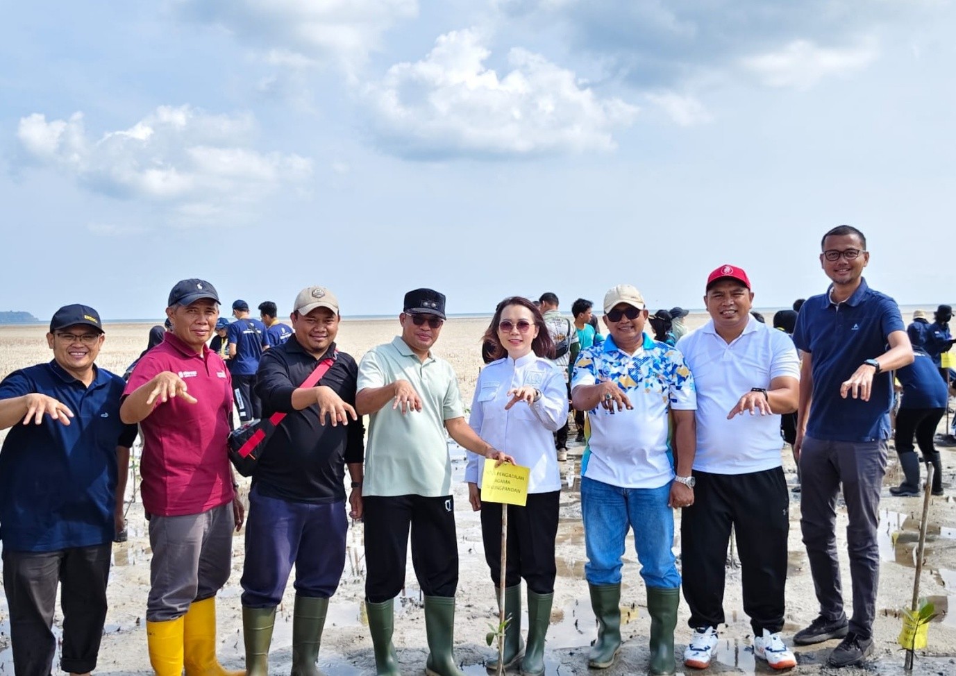 press release image